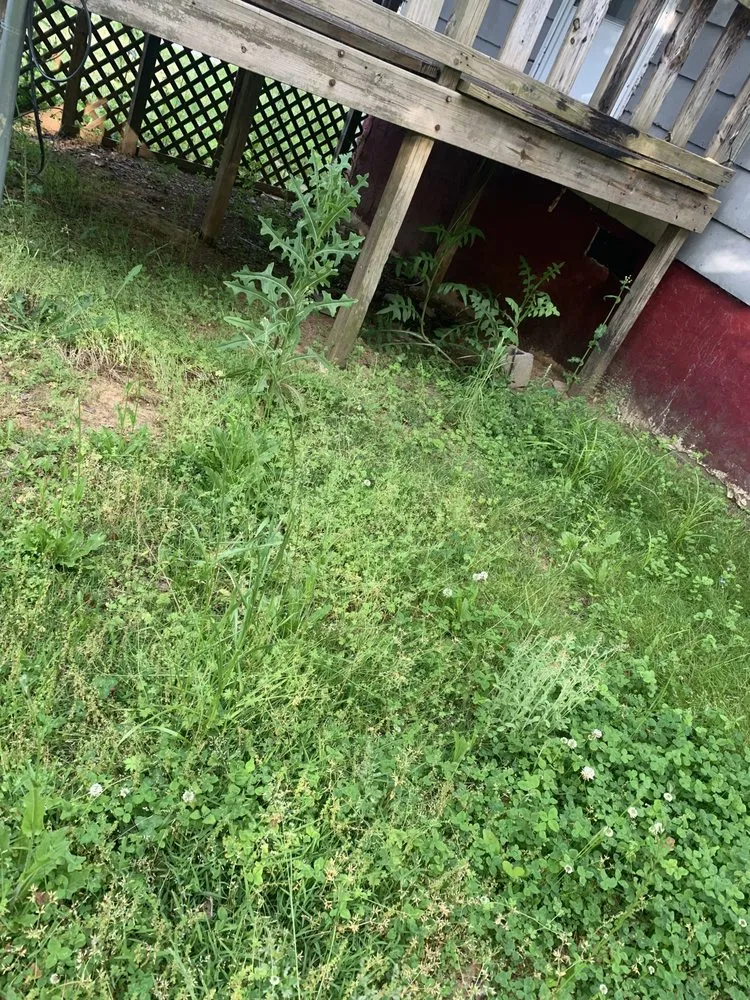 Local garden landscaping in Buffalo, SC - A and J Handyman Service