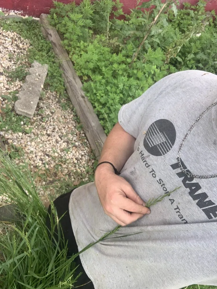 Professional residential landscaping experts serving Buffalo, SC - A and J Handyman Service