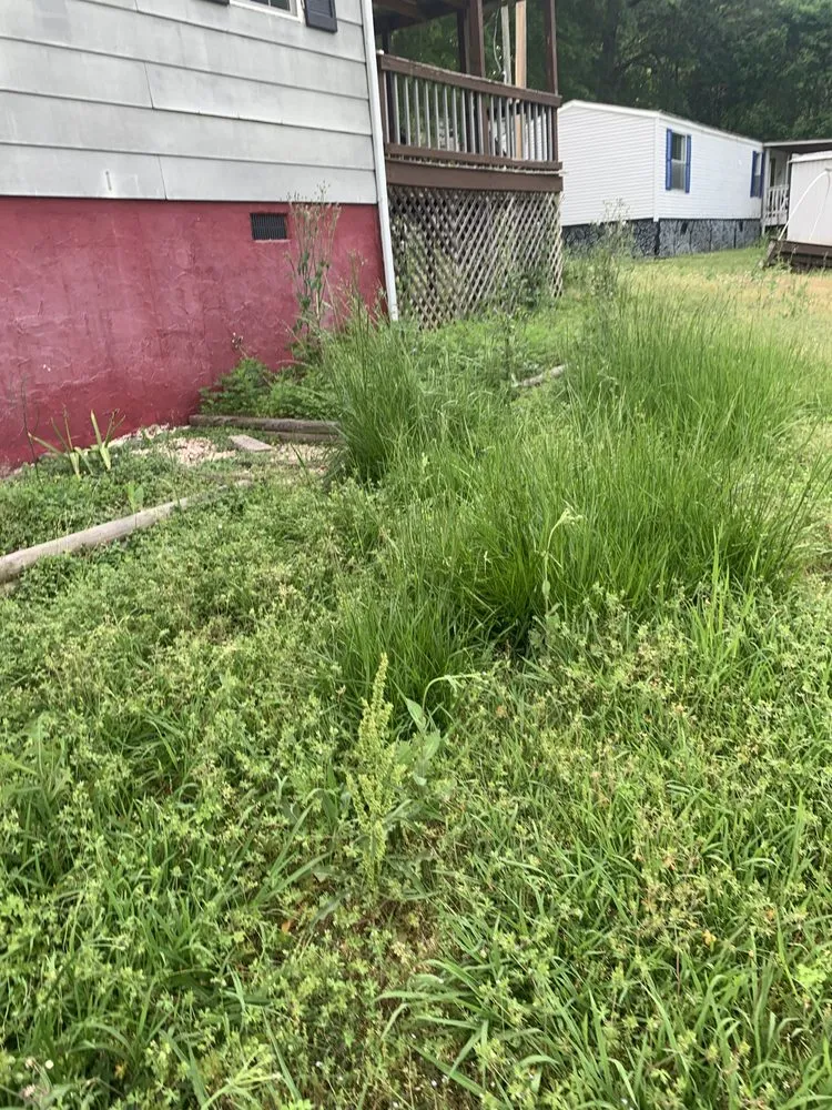 Top-rated garden landscaping for homes across Buffalo, SC - A and J Handyman Service