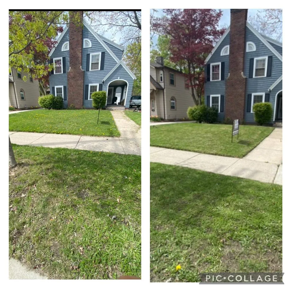 Professional yard maintenance in Toledo, OH - A and J lawns