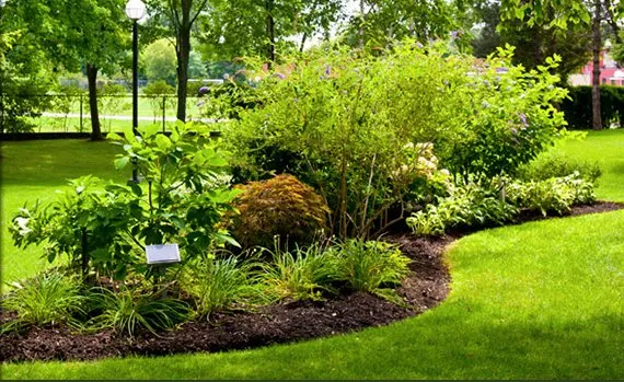 Custom landscaping services for outdoor upgrades across Tucson, AZ - A and K Landscaping