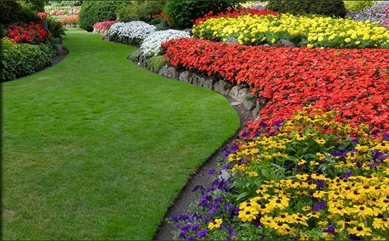 Expert yard maintenance in Tucson, AZ by A and K Landscaping