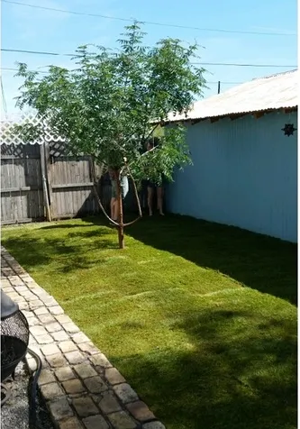 Expert residential landscaping near you across Tucson, AZ - A and K Landscaping