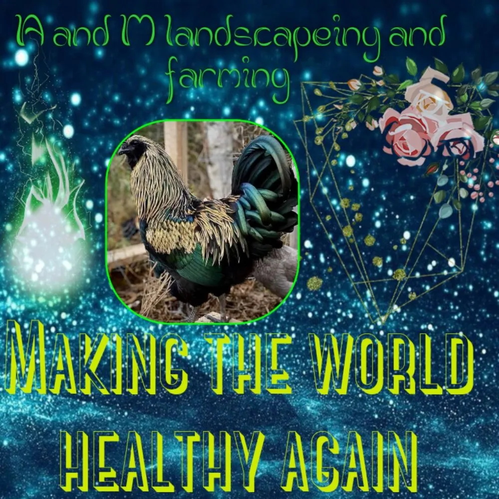 Reliable landscaping services in Topeka, KS by A And M Landscape And Framing