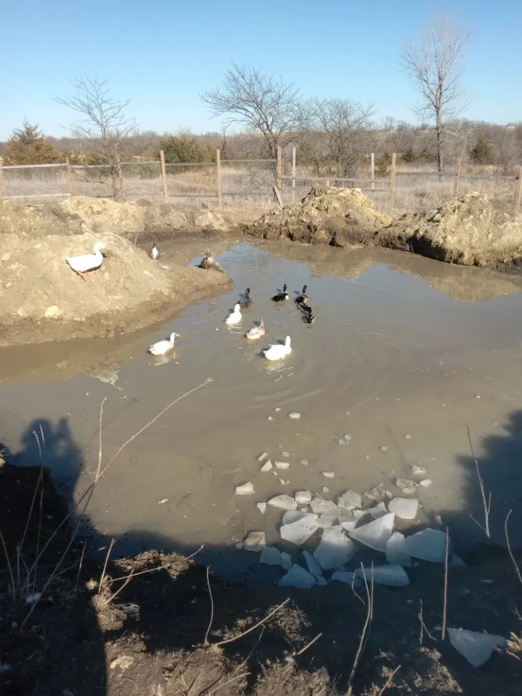 Local yard maintenance near you in Topeka, KS by A And M Landscape And Framing