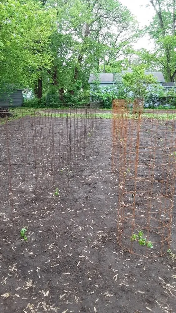 Expert yard cleanup service in Topeka, KS - A And M Landscape And Framing