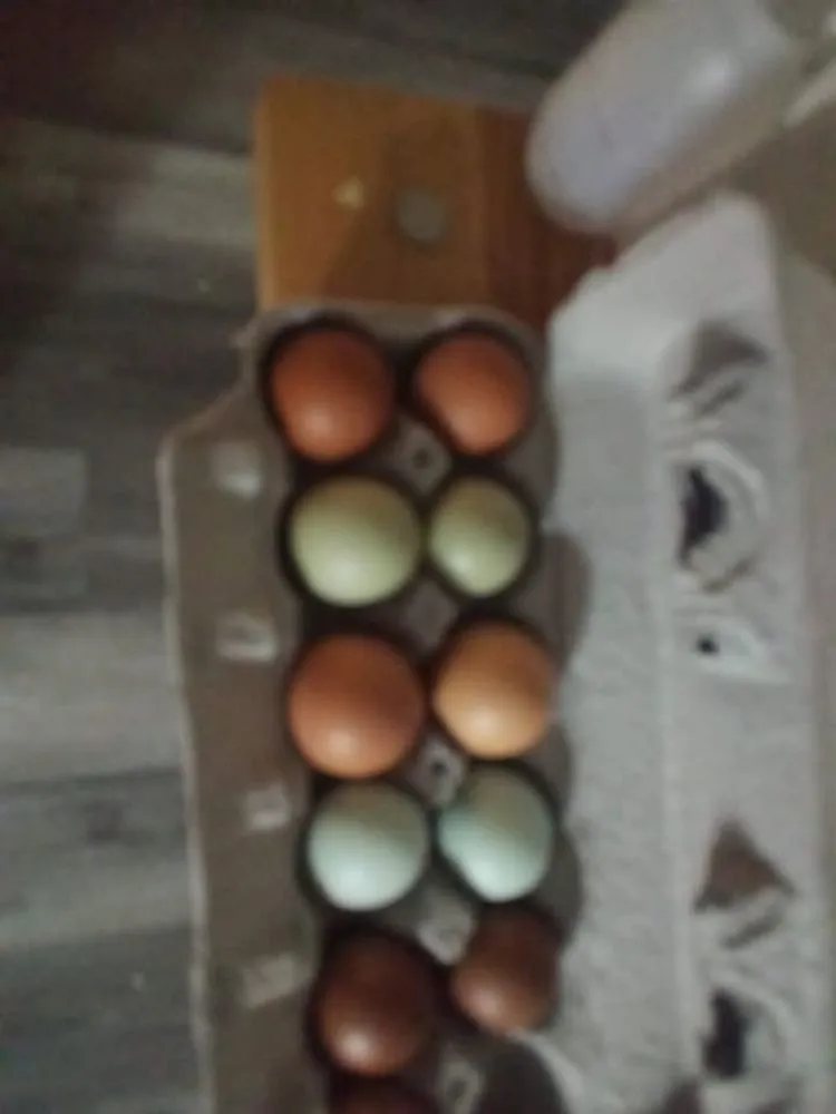 Top-rated lawn mowing service in Topeka, KS by A And M Landscape And Framing