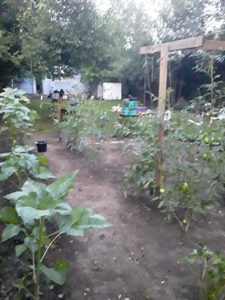 Affordable yard maintenance with custom design across Topeka, KS - A And M Landscape And Framing