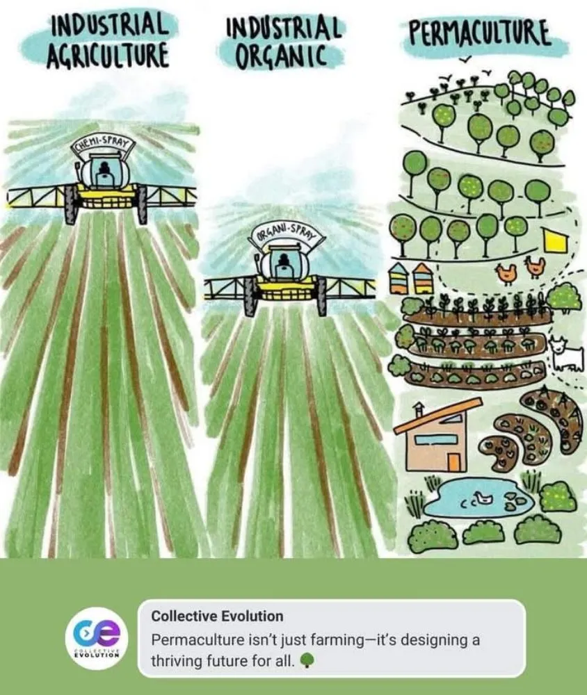 Expert yard maintenance in Topeka, KS by A And M Landscape And Framing