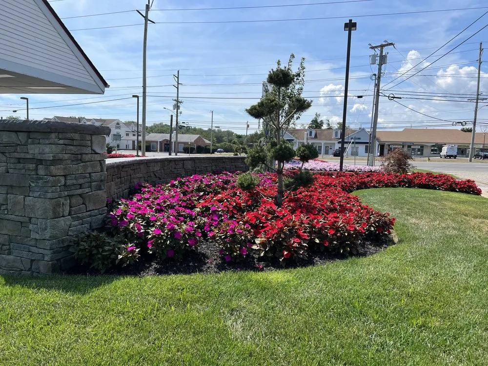 Local yard cleanup service in Vineland, NJ by A and M Landscaping