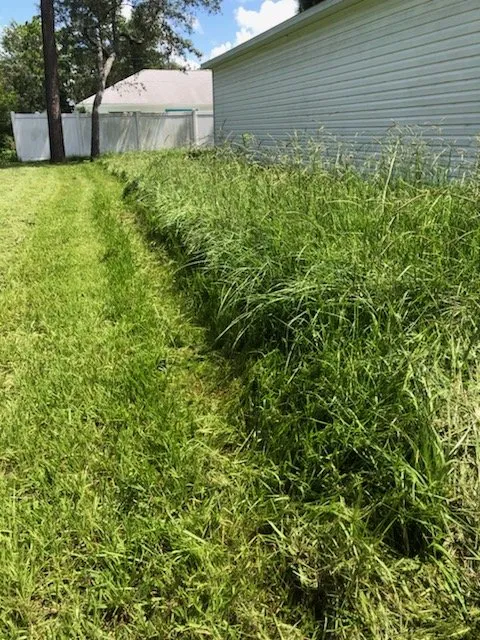 Top-rated landscape installation in Weeki Wachee, FL by A and M Lawn Service