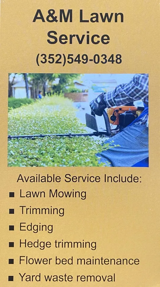 Trusted yard cleanup service in Weeki Wachee, FL by A and M Lawn Service