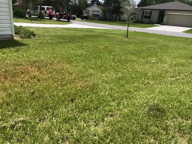 Affordable yard maintenance in Weeki Wachee, FL by A and M Lawn Service
