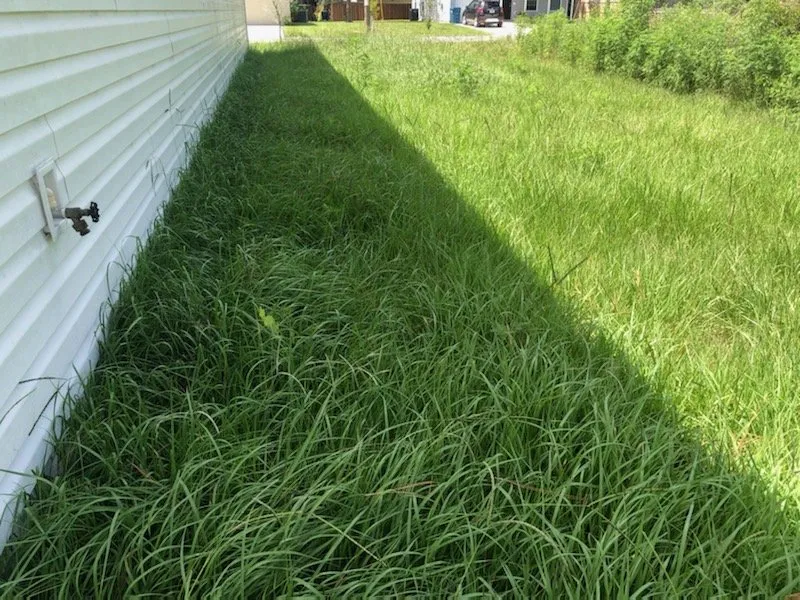 Reliable landscape installation near you in Weeki Wachee, FL by A and M Lawn Service