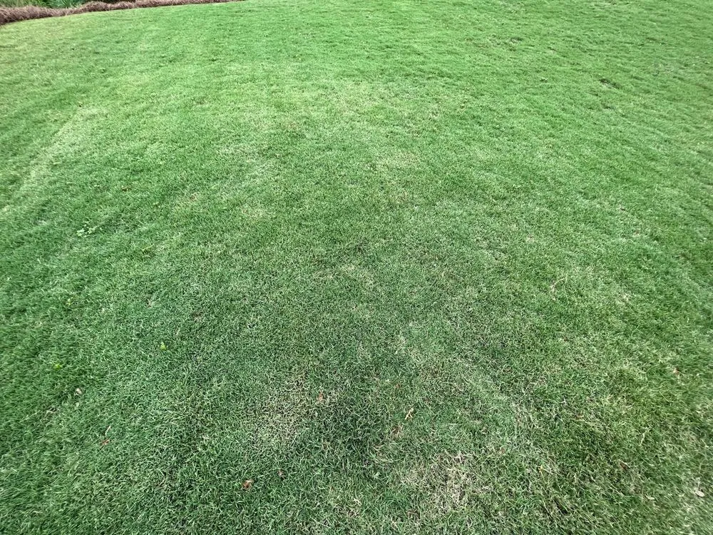 Local landscaping services experts serving Dawsonville, GA - A And R Landscaping