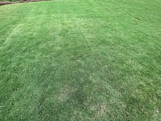 A And R Landscaping Logo