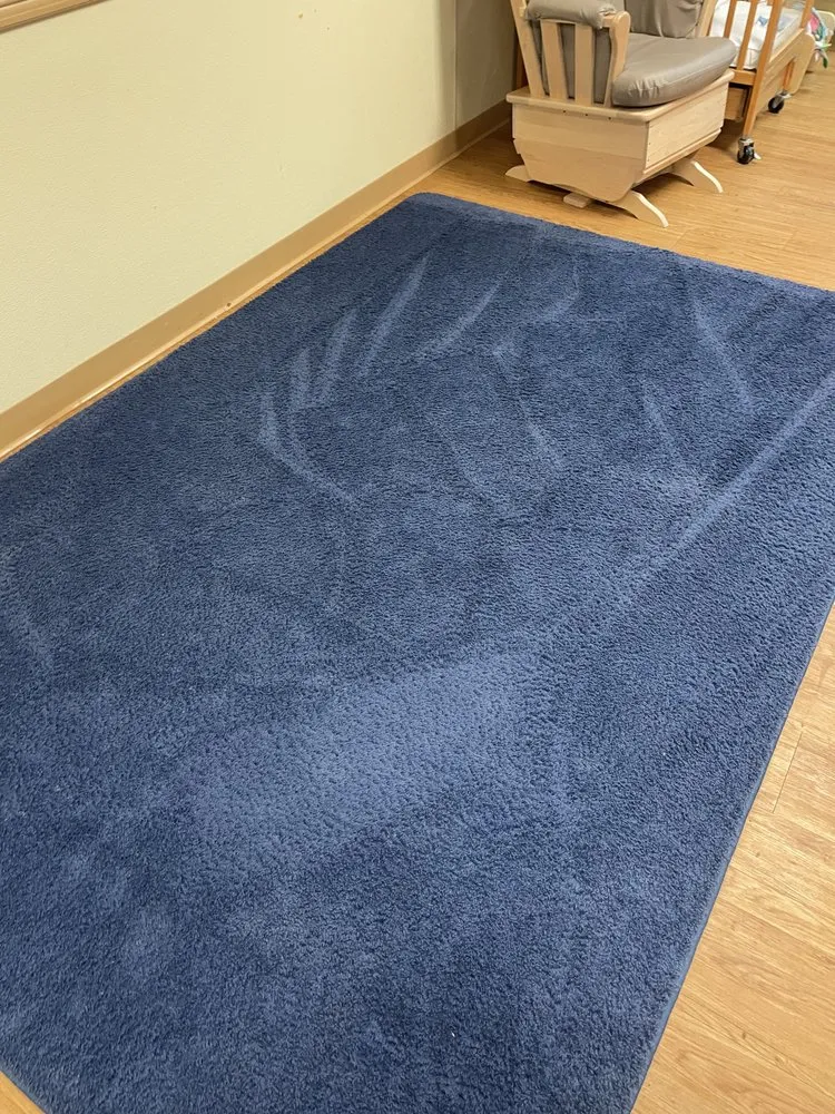 Professional landscaping services for year-round maintenance in Fort Worth, TX by A and R Services