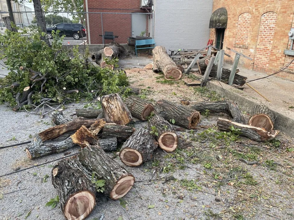 Trusted yard maintenance experts serving Fort Worth, TX - A and R Services