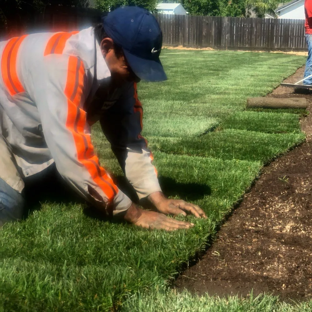 Local landscape design in Fresno, CA by A and S Grading Services