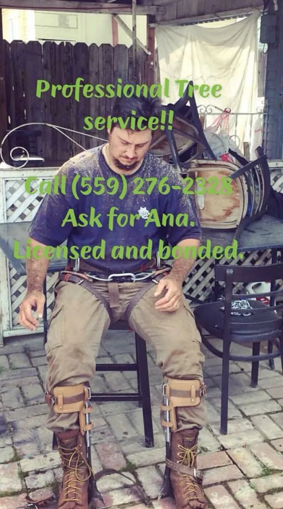 Trusted yard maintenance with custom design in Fresno, CA by A and S Grading Services