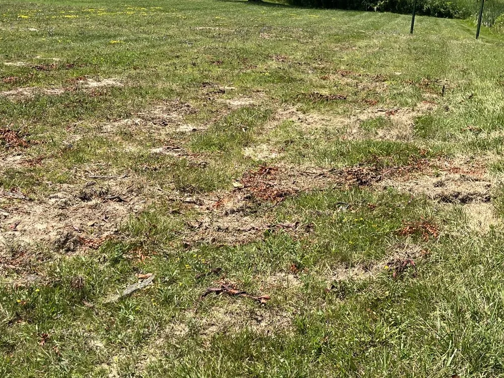 Reliable residential landscaping experts serving Churubusco, IN - A and S Property Maintenance