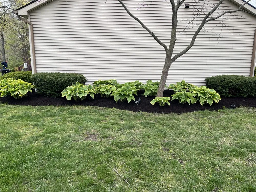 Top-rated yard cleanup service for outdoor upgrades across Churubusco, IN - A and S Property Maintenance