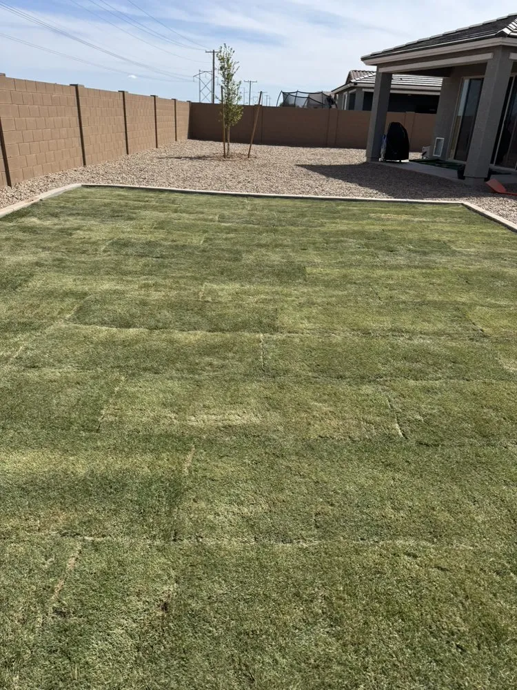 Top-rated yard cleanup service experts serving Casa Grande, AZ - A-aron Landscaping Maintenance