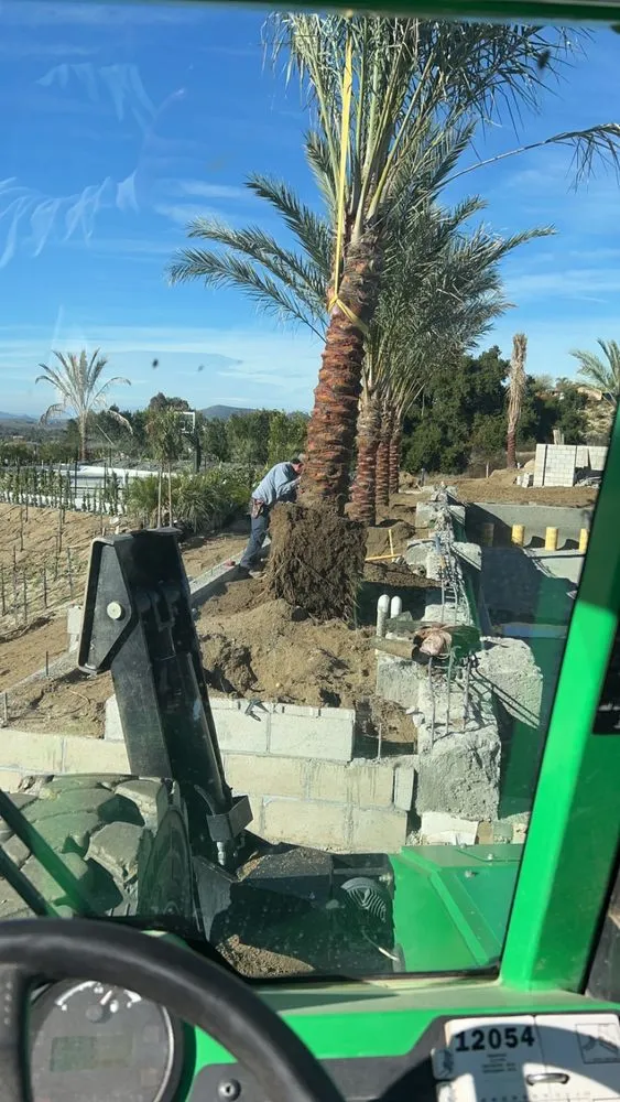 Local garden landscaping in Temecula, CA by A B Landscape