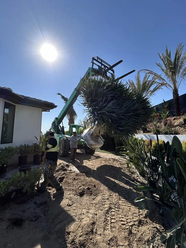 Top-rated residential landscaping for outdoor upgrades in Temecula, CA by A B Landscape