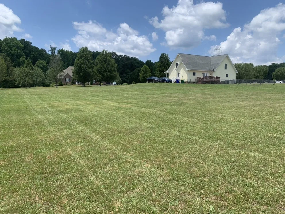 Trusted yard cleanup service experts serving Efland, NC - A B Landscaping