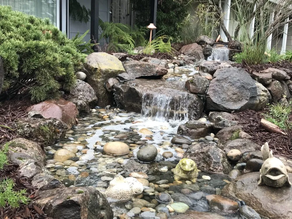 Professional residential landscaping in San Jose, CA by A B Landscaping