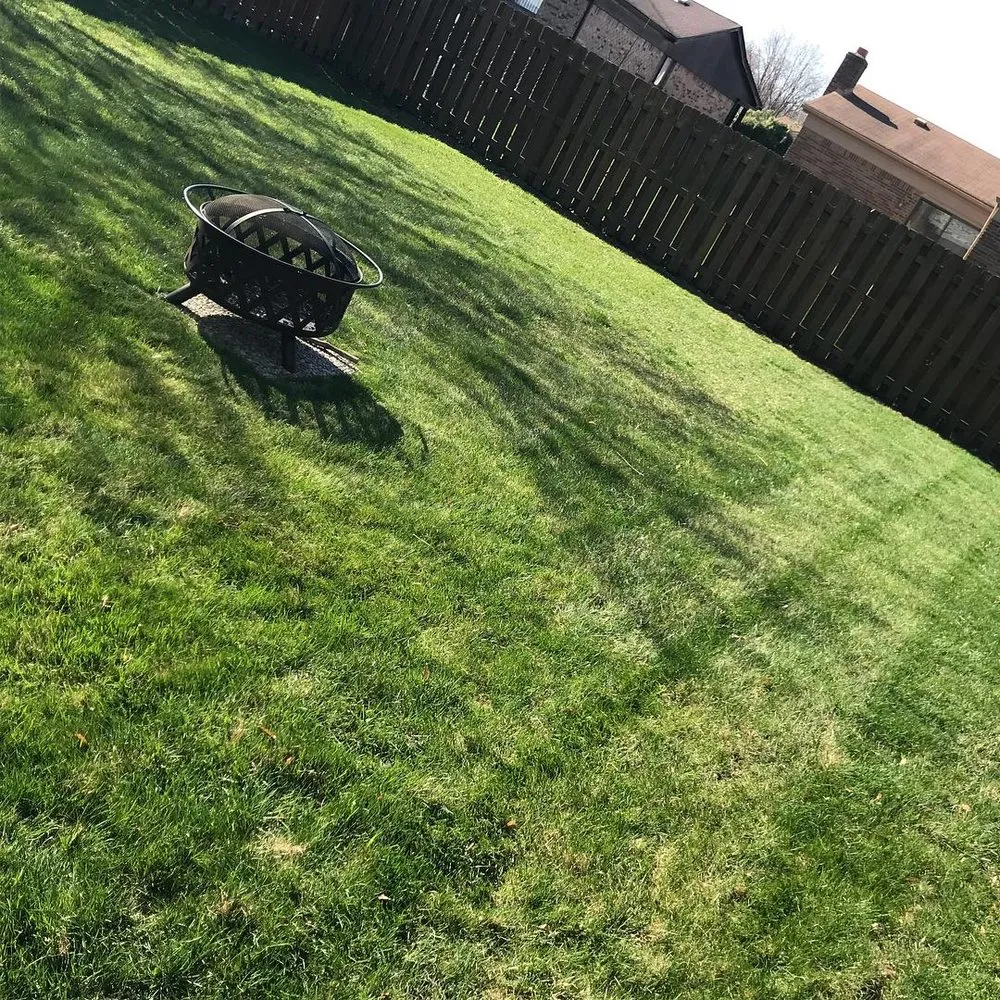 Trusted yard cleanup service in Macomb, MI - A B Lawn Care