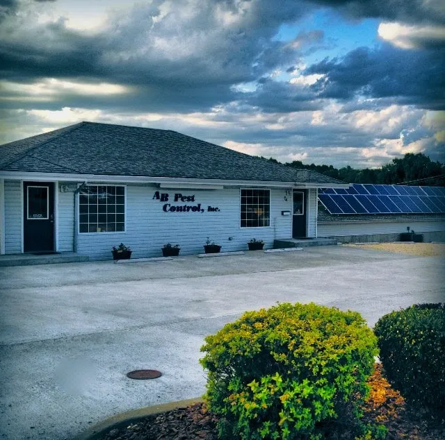 Local residential landscaping in Lake Ozark, MO - A B Pest Control & Insulation