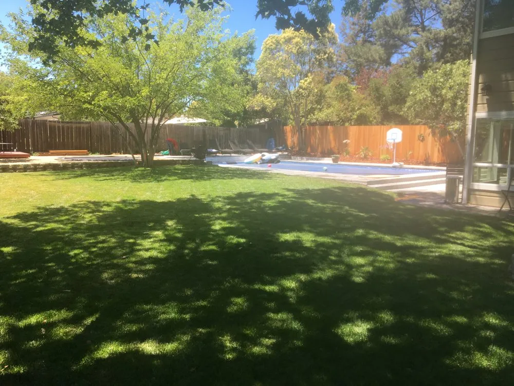 Custom yard maintenance for year-round maintenance in South San Francisco, CA by A B S Landscape And Maint
