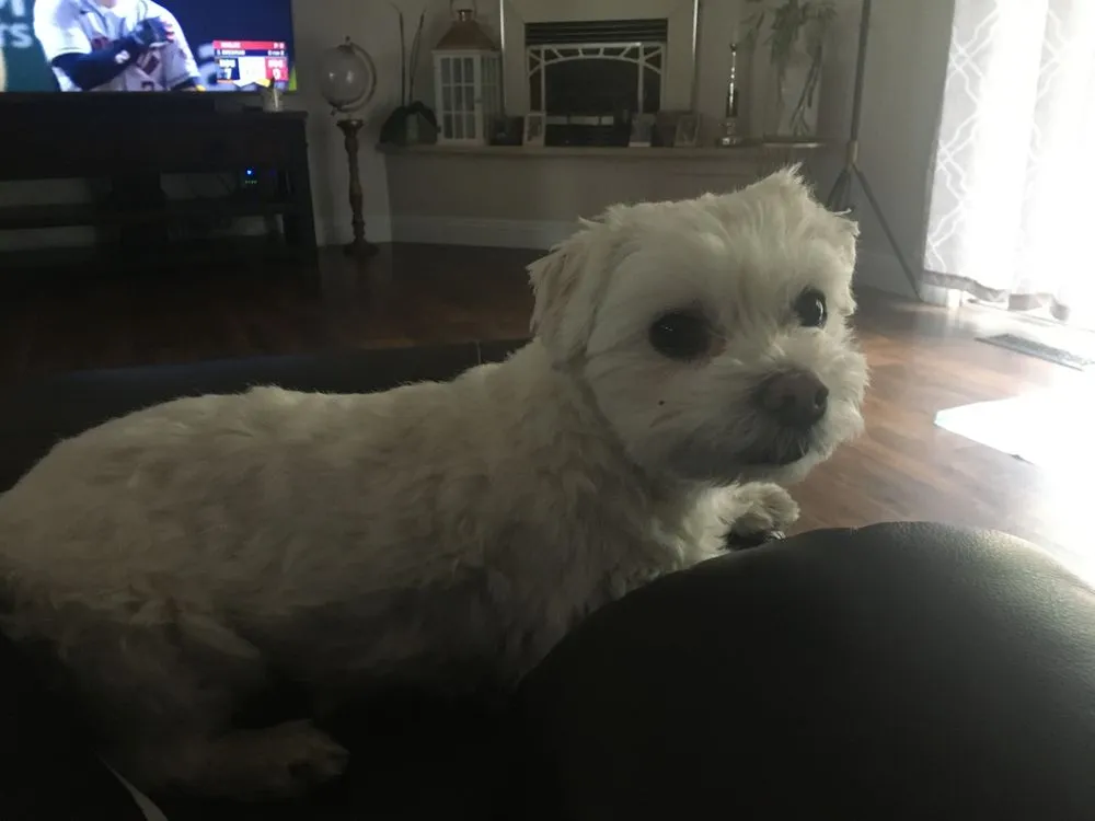 Expert landscaping services for year-round maintenance in South San Francisco, CA by A B S Landscape And Maint