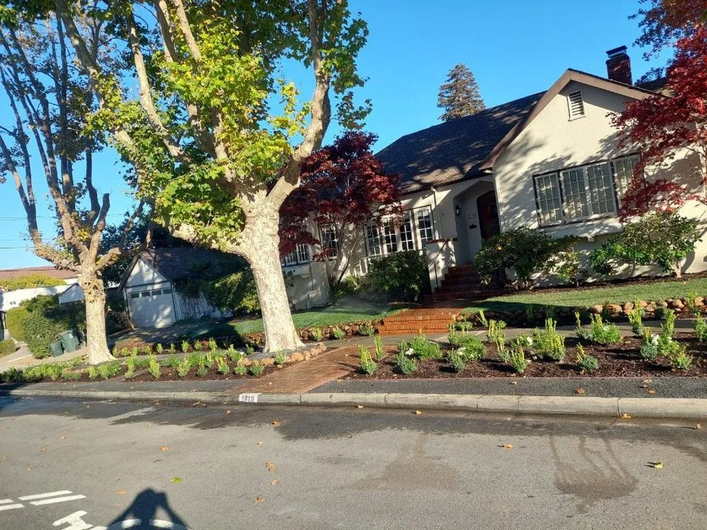 Affordable yard maintenance experts serving South San Francisco, CA - A B S Landscape And Maint