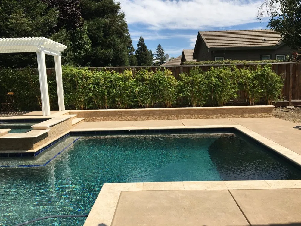 Expert lawn care service experts serving South San Francisco, CA - A B S Landscape And Maint