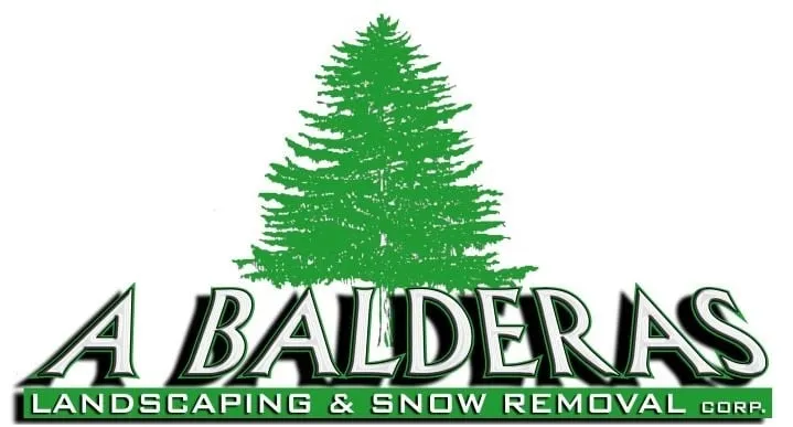 Top-rated landscape installation in Prospect Heights, IL by a balderas