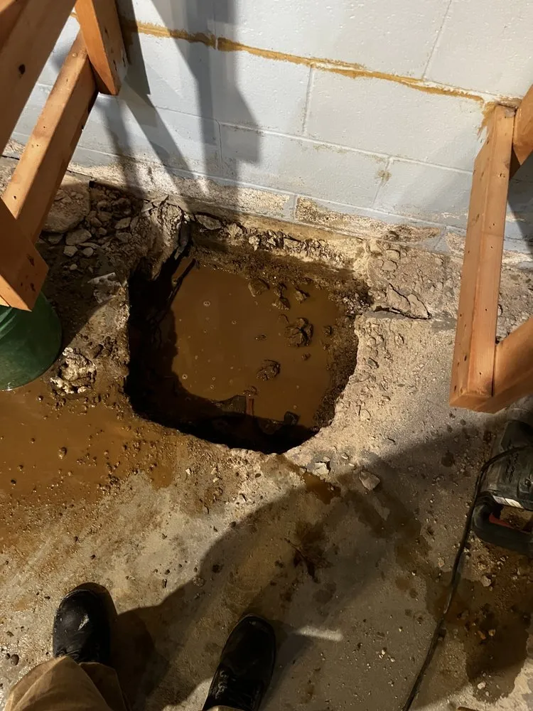 Professional landscaping services in Akron, OH - A+ Basement Waterproofing