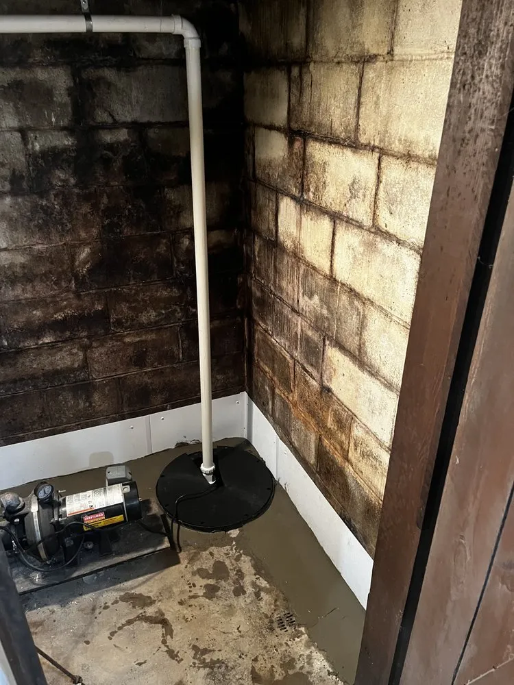 Trusted lawn mowing service for beautiful yards across Akron, OH - A+ Basement Waterproofing