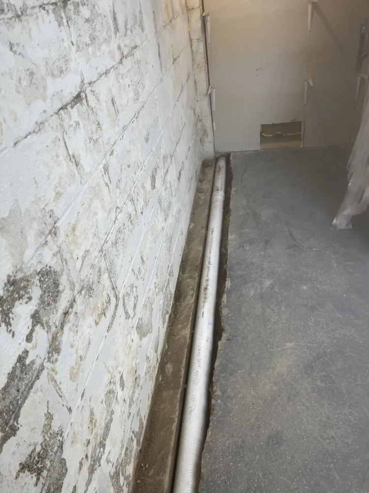 Custom yard cleanup service experts serving Akron, OH - A+ Basement Waterproofing