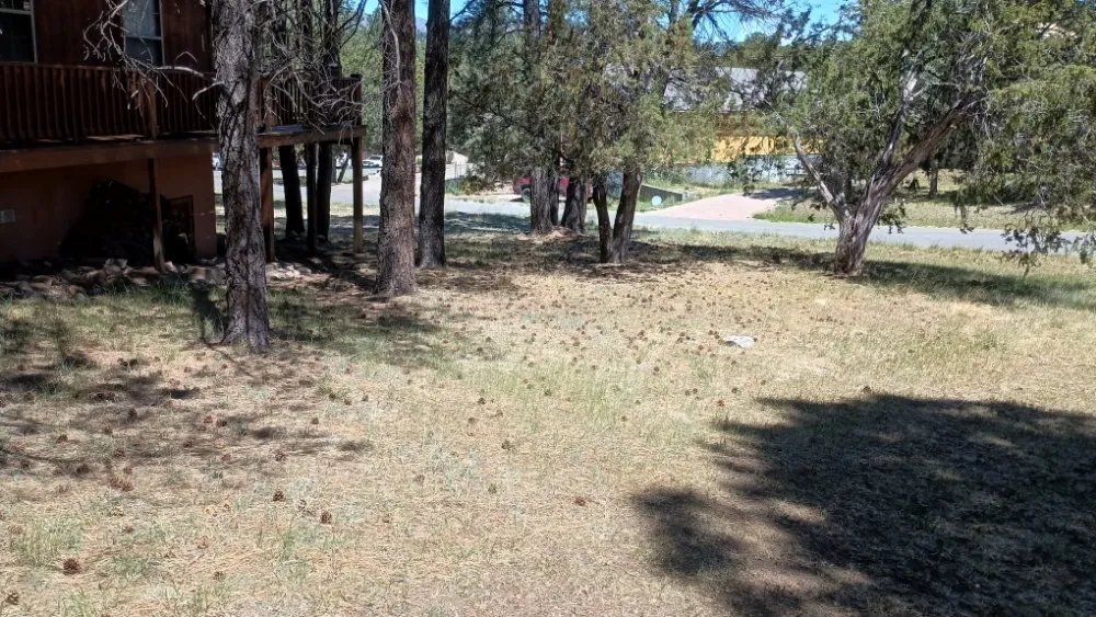 Trusted landscape design for outdoor upgrades in Ruidoso, NM by A Basic Cut Lawn Care