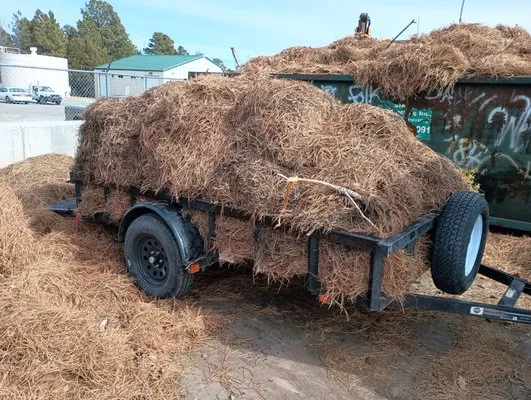 A Basic Cut Lawn Care