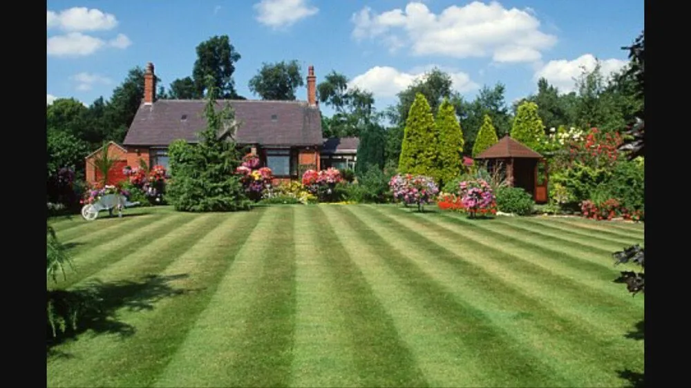Custom yard cleanup service experts serving Geneseo, NY - A-Bear Lawn Care