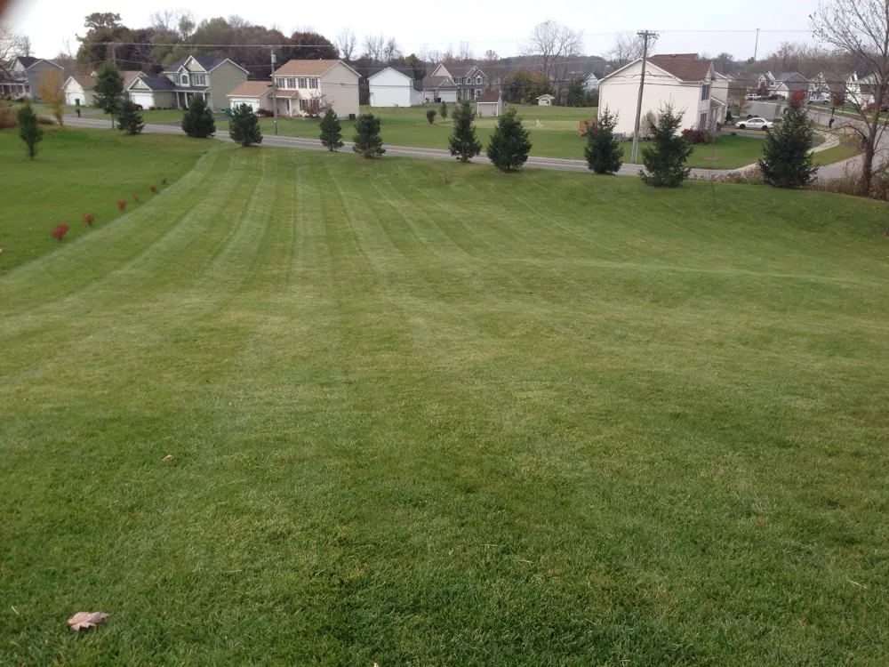 Custom lawn mowing service for residential properties across Geneseo, NY - A-Bear Lawn Care