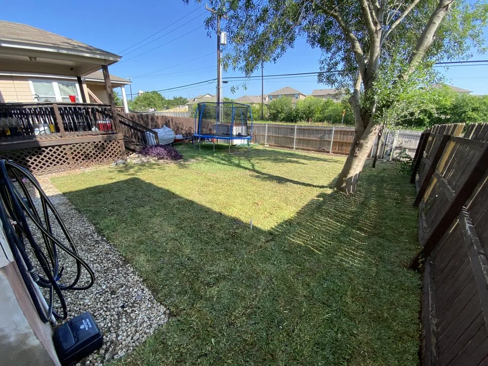 Reliable yard cleanup service experts serving San Antonio, TX - A Beautiful Escape