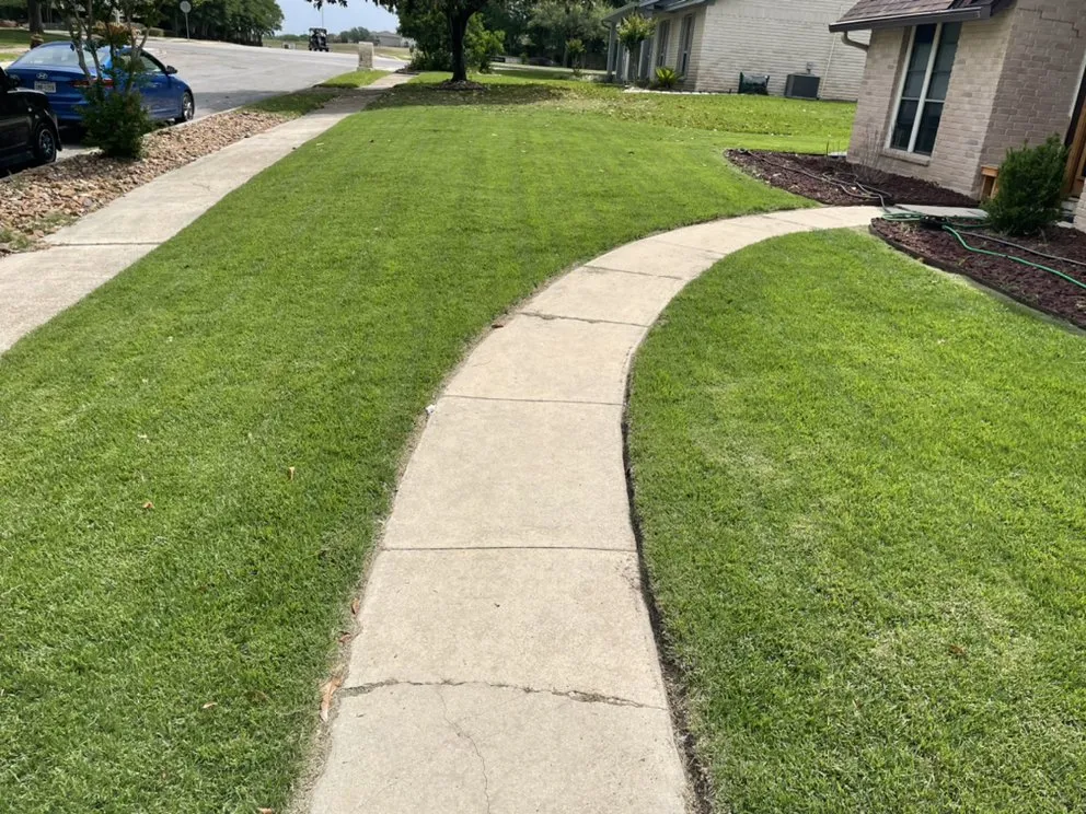 Professional landscape installation for year-round maintenance in San Antonio, TX by A Beautiful Escape