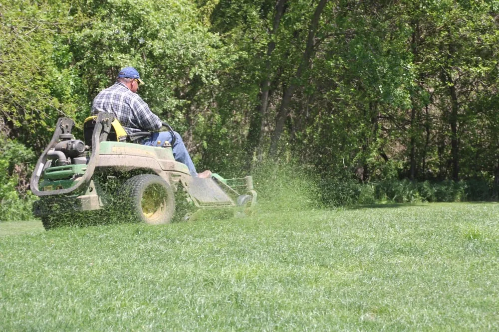 Affordable outdoor landscaping in New Orleans, LA by A Beautiful Estate, Inc.