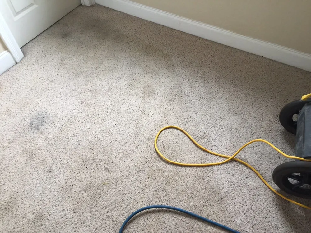 Top-rated yard cleanup service for beautiful yards across New Orleans, LA - A Beautiful Estate, Inc.