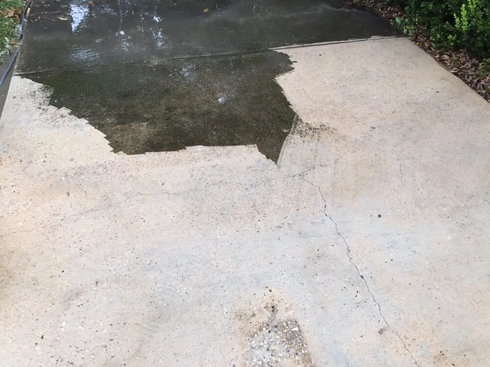 Custom yard cleanup service near you across New Orleans, LA - A Beautiful Estate, Inc.